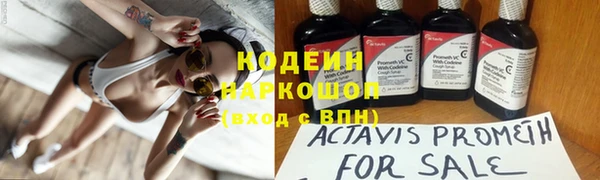 гидра Аркадак