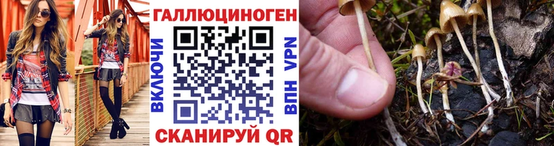 Псилоцибиновые грибы Cubensis  площадка какой сайт  Курчатов 
